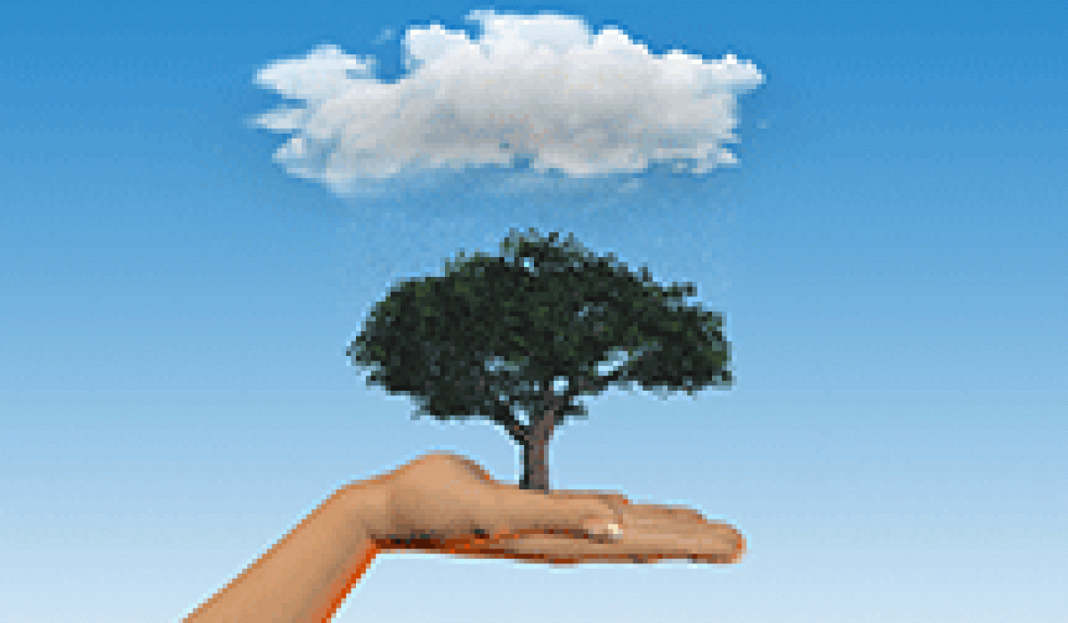 3d-render-female-hand-holding-tree-rainy-cloud