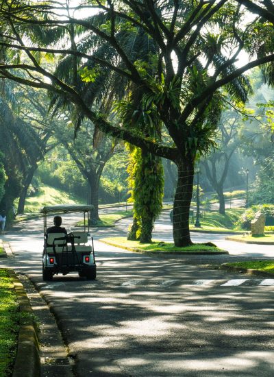 Jalan Utama Rancamaya Golf Estate, Perumahan Mewah di Bogor